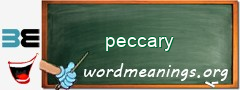 WordMeaning blackboard for peccary